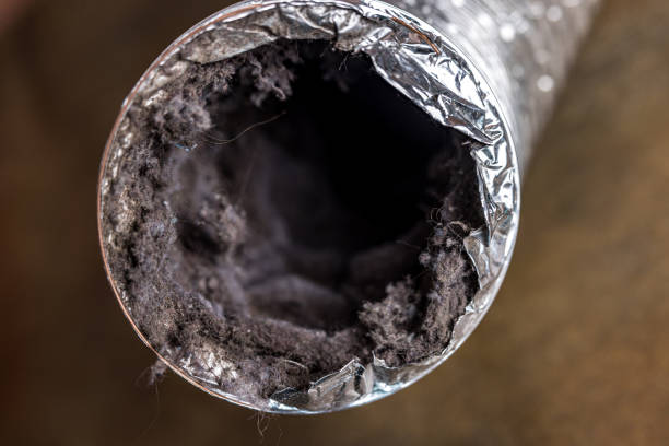 Best HVAC System Cleaning  in French Lick, IN